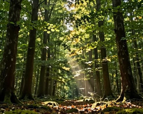 Россиянам напомнили о периоде активности клещей