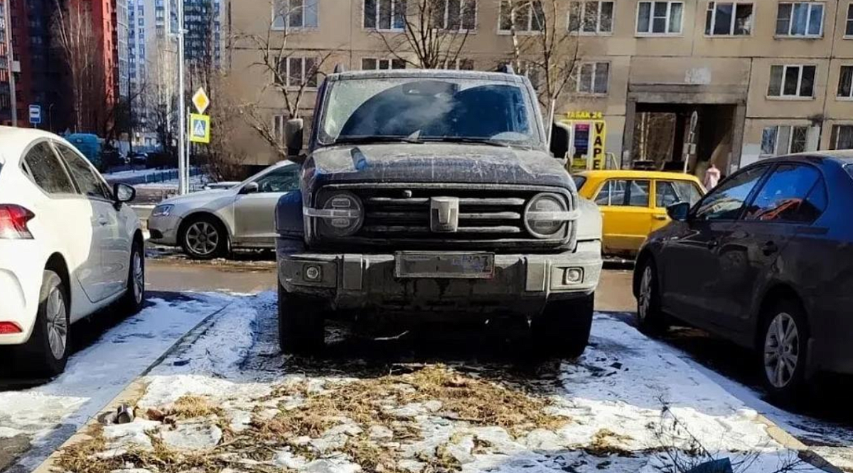 Петербуржцам рассказали, в каких случаях утраивается штраф за парковку на газоне