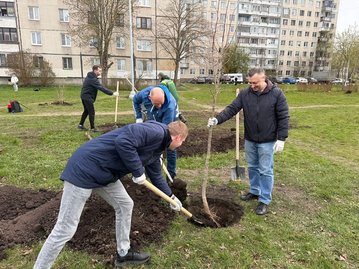  «Добрый субботник» день благоустройства в Колпинском районе