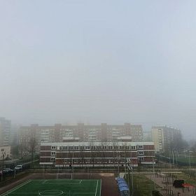 Антициклон с запада принес в Петербург туман