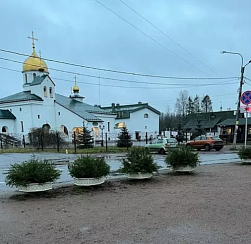 В Кировском и Колпинском районах в цветочные вазоны установили хвойные композиции