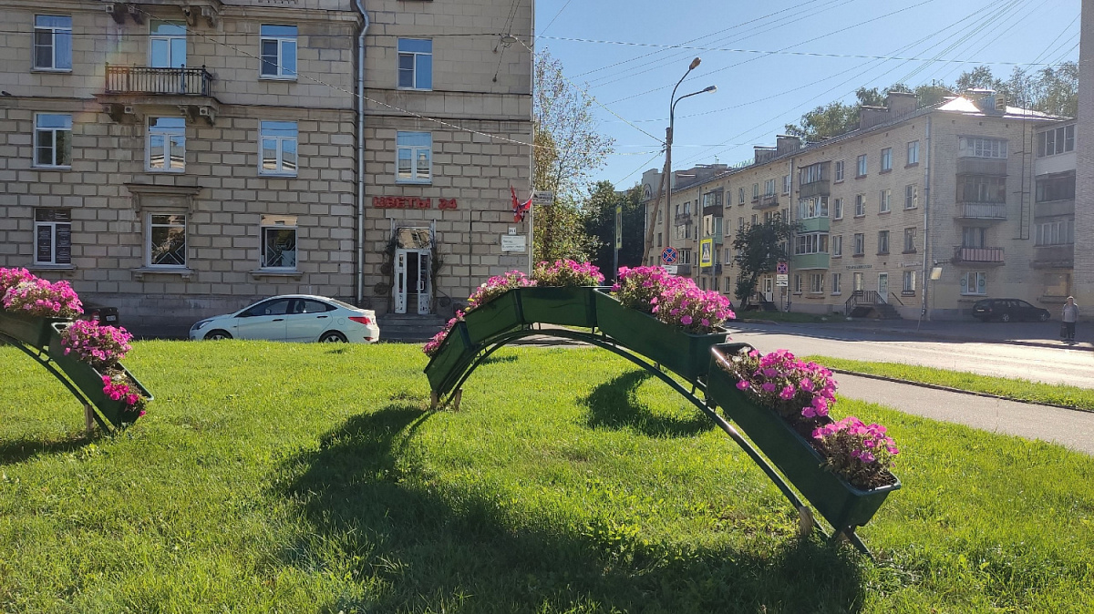 Спешите насладиться: в воскресенье в Петербурге по-прежнему солнечно и тепло