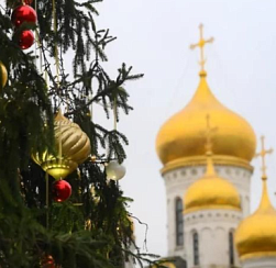 Главную новогоднюю елку страны привезут в Кремль 10 декабря