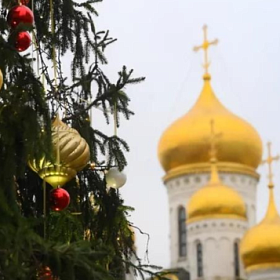 Главную новогоднюю елку страны привезут в Кремль 10 декабря