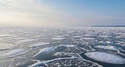 С отколовшейся льдины в Финском заливе спасли 19 человек