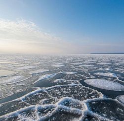 С отколовшейся льдины в Финском заливе спасли 19 человек