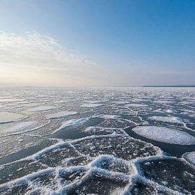 С отколовшейся льдины в Финском заливе спасли 19 человек С отколовшейся льдины в Финском заливе спасли 19 человек