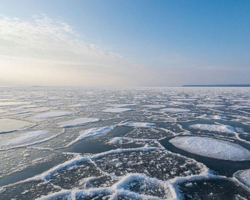 С отколовшейся льдины в Финском заливе спасли 19 человек