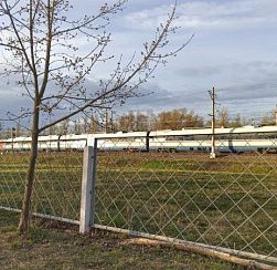 В Петербург пришел атмосферный фронт с кратковременными дождями
