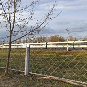 В Петербург пришел атмосферный фронт с кратковременными дождями