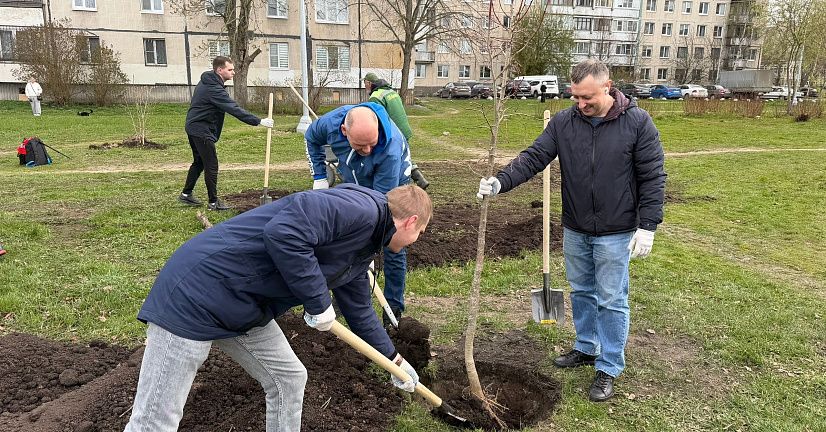  «Добрый субботник» день благоустройства в Колпинском районе