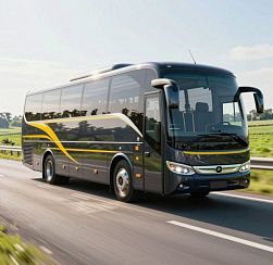 Россияне назвали самые романтичные города и регионы для поездок