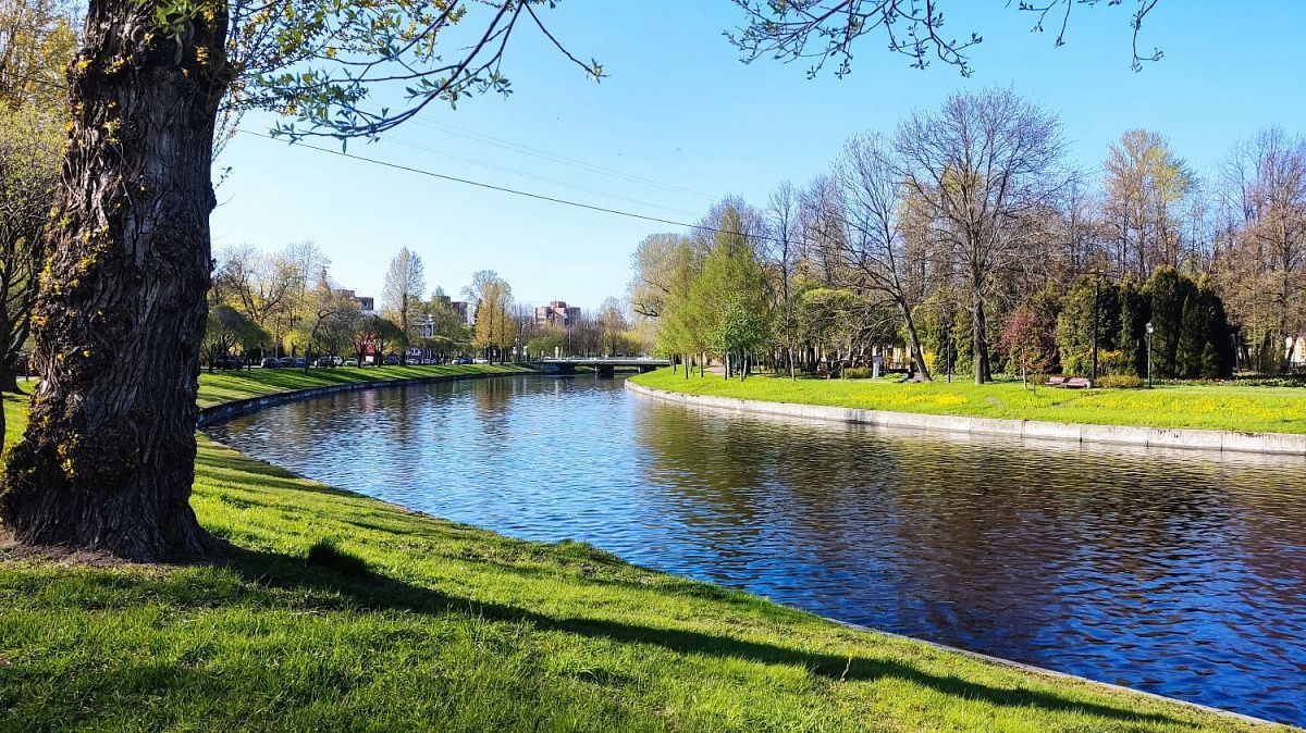 Воздух в Петербурге прогреется выше 20 градусов