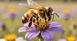 Мёд, финики и «нулевые» напитки могут спровоцировать срыв к сладкому