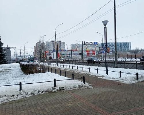 Бесснежием и плюсовой температурой Петербург в очередной раз встретит зиму