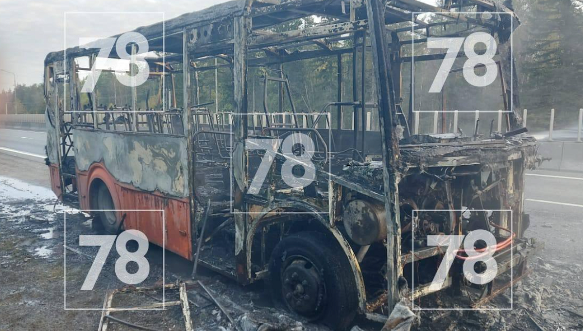 Пламя охватило автобус на трассе под Петербургом