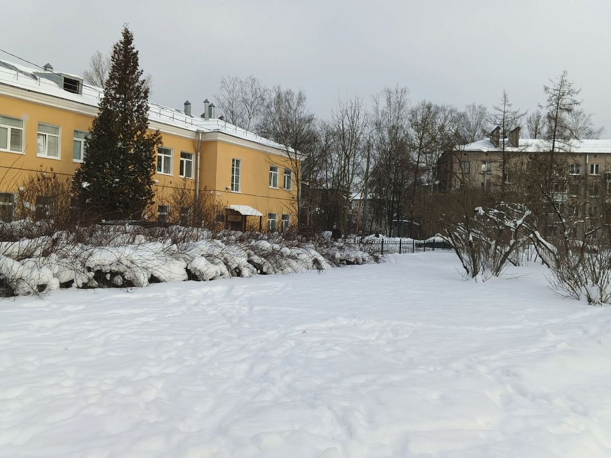 В Петербурге вновь усиливаются морозы