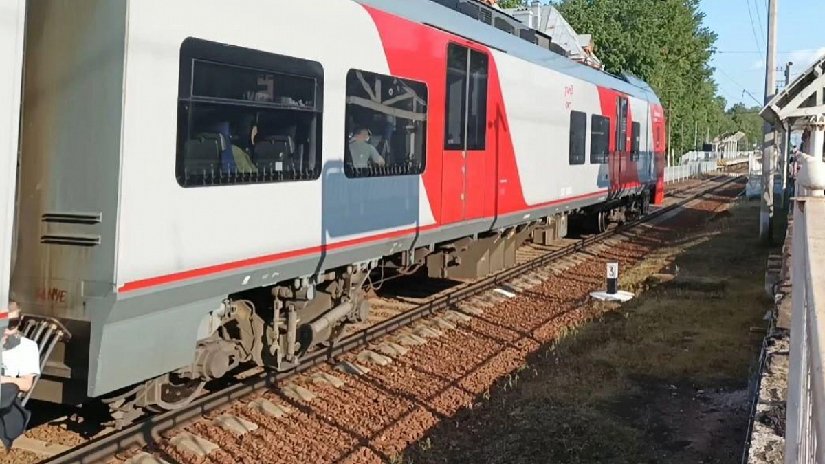 Зацепера заметили между вагонами «Ласточки» в Петербурге