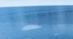 Двое рыбаков провалились под лёд и утонули на озере Самро в Ленобласти