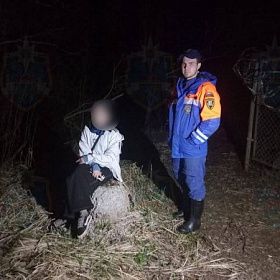 В лесу Ленобласти нашли заблудившегося подростка