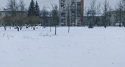 В Петербург пришли обещанные сильные морозы