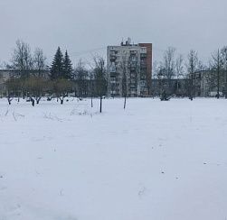 В Петербург пришли обещанные сильные морозы В Петербург пришли обещанные сильные морозы