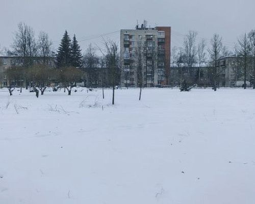 В Петербург пришли обещанные сильные морозы