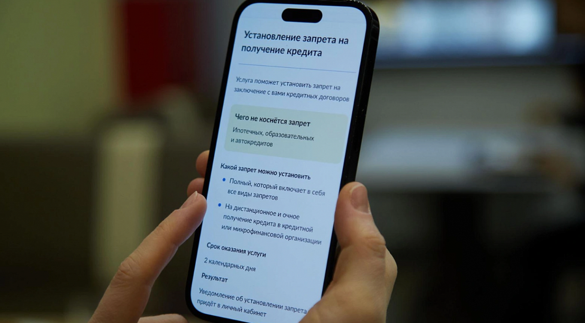 Самозапрет на кредиты помог мошенникам создать новую схему