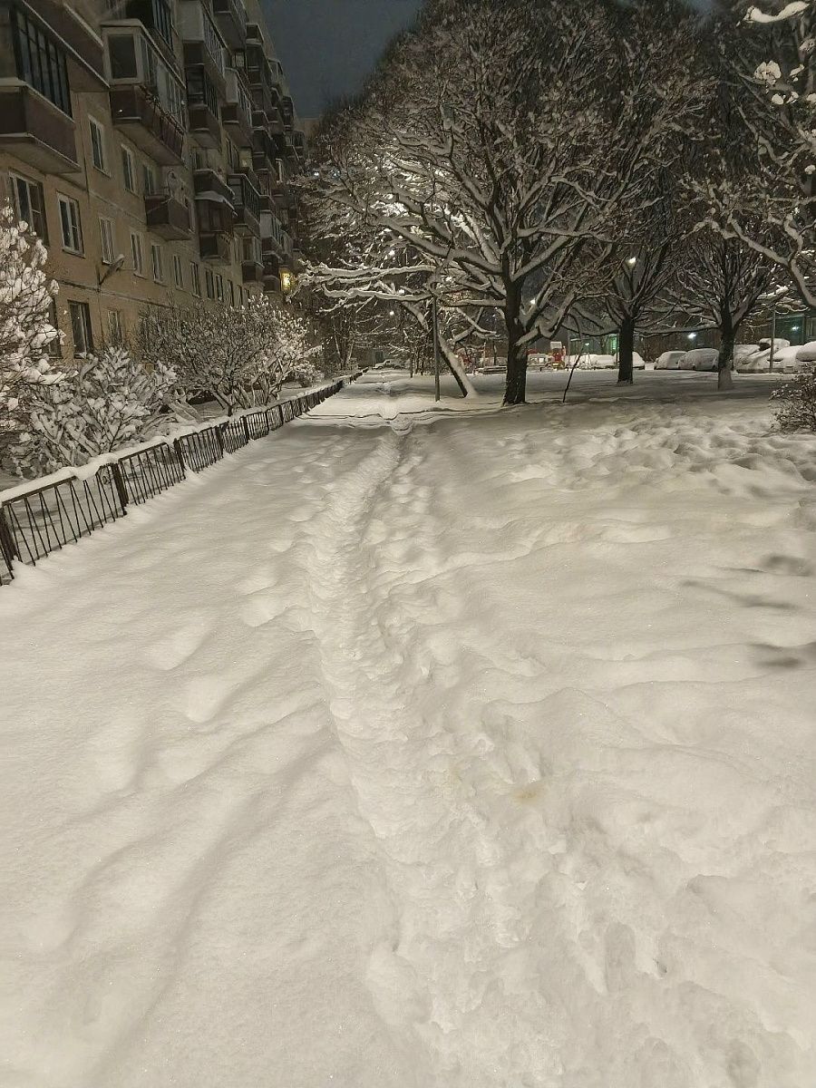 В новогоднюю ночь температура воздуха в Петербурге опустится до -14 градусов