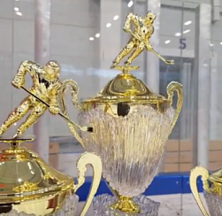 В Колпино завершился Региональный детско-юношеский турнир по хоккею