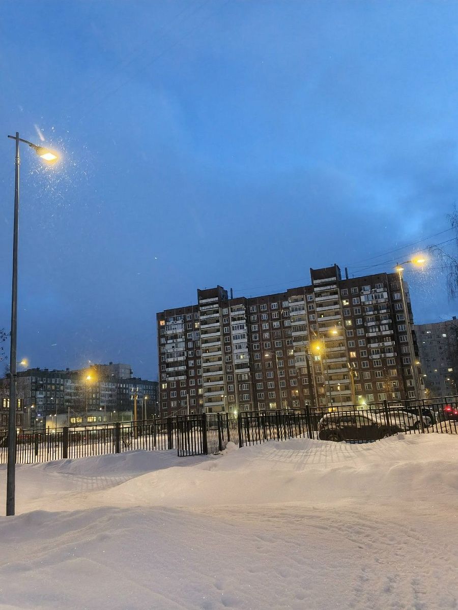 Спокойная и довольно холодная погода ожидается в Петербурге