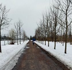 Синоптик: температурные рекорды ожидаются в Петербурге