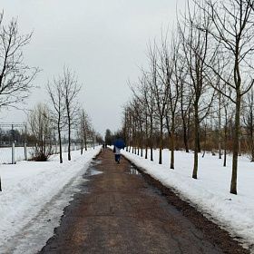 Синоптик: температурные рекорды ожидаются в Петербурге