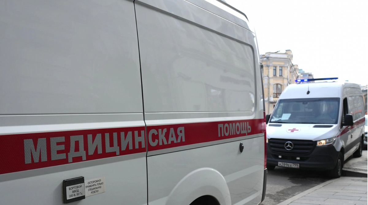 Петербургскую школьницу ужалил за палец скорпион в квартире на Кронверкском