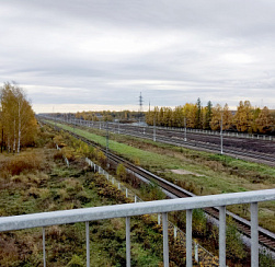 В субботу в Петербурге будет тепло, но дождливо