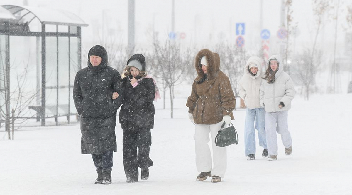 В Петербурге объявили «жёлтый» уровень опасности из-за усиления ветра