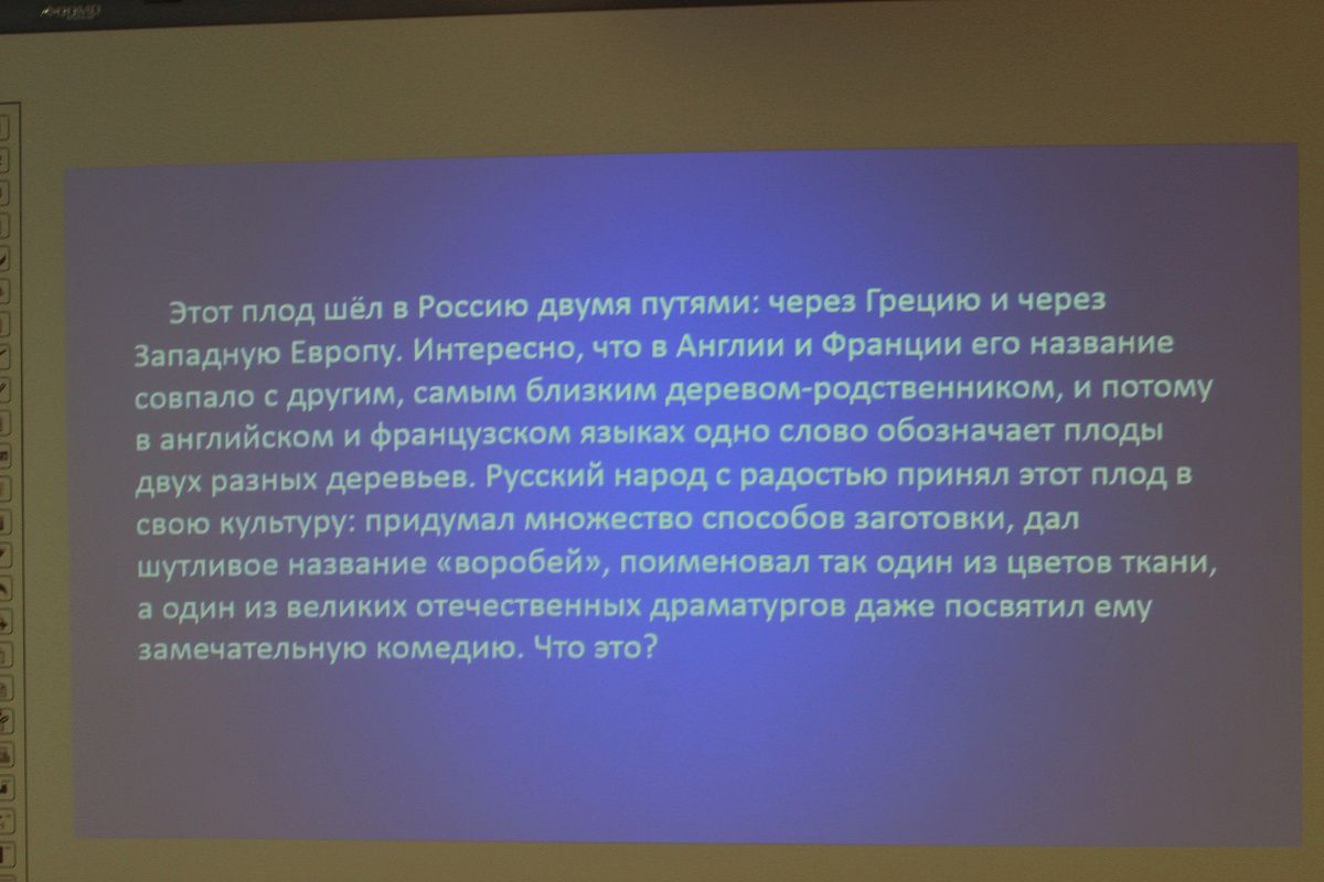 Экологическая игра "В защиту родной природы"