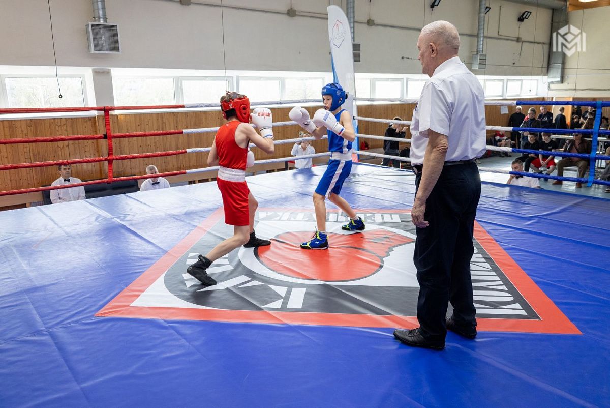 Региональные соревнования по боксу памяти бойцов Ижорского батальона прошли в Колпинском районе