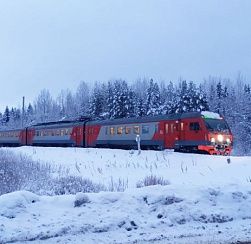 В Петербурге стартовали первые «Лыжные стрелы» В Петербурге стартовали первые «Лыжные стрелы»