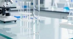 В России родился первый жеребёнок, полученный методом ЭКО