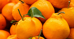 В Роскачестве перечислили советы по выбору вкусных и спелых мандаринов