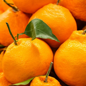 В Роскачестве перечислили советы по выбору вкусных и спелых мандаринов