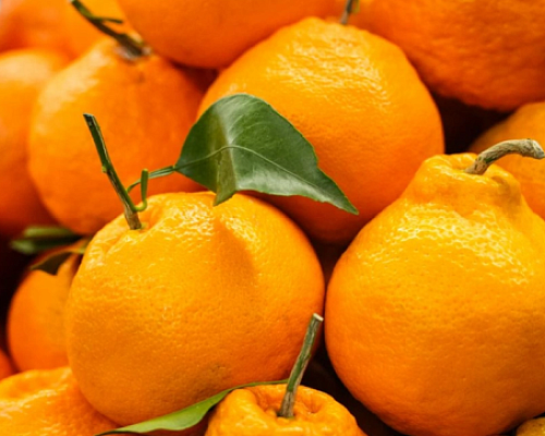 В Роскачестве перечислили советы по выбору вкусных и спелых мандаринов