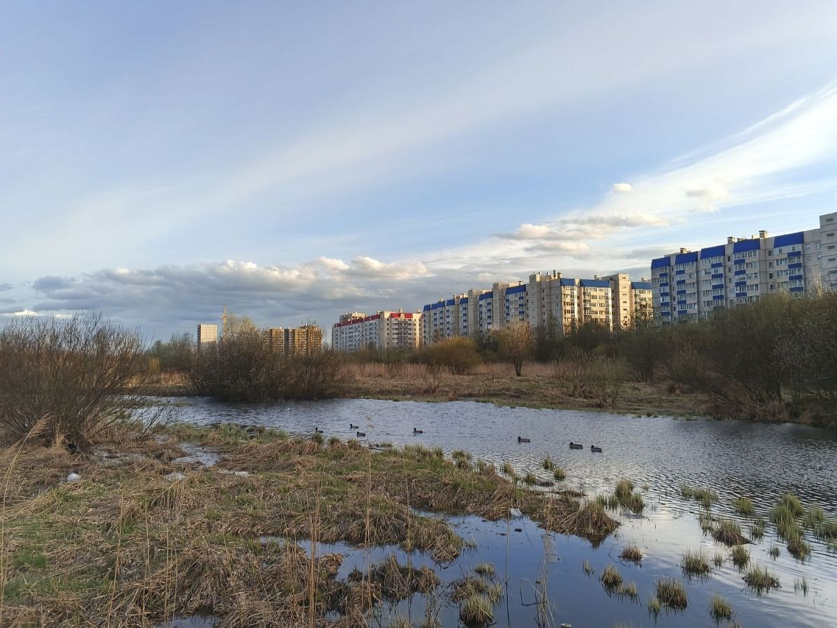 В Петербурге на майские праздники будет тепло и солнечно