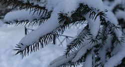 Балканский циклон принёс в Петербург метели и порывистый ветер