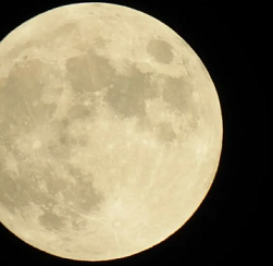 Яркая луна «омрачит» петербуржцам вид на первый в 2026 году звездопад