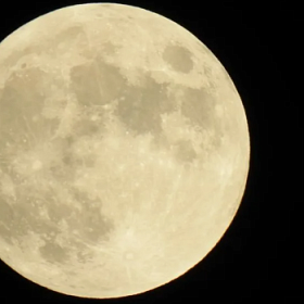 Яркая луна «омрачит» петербуржцам вид на первый в 2026 году звездопад