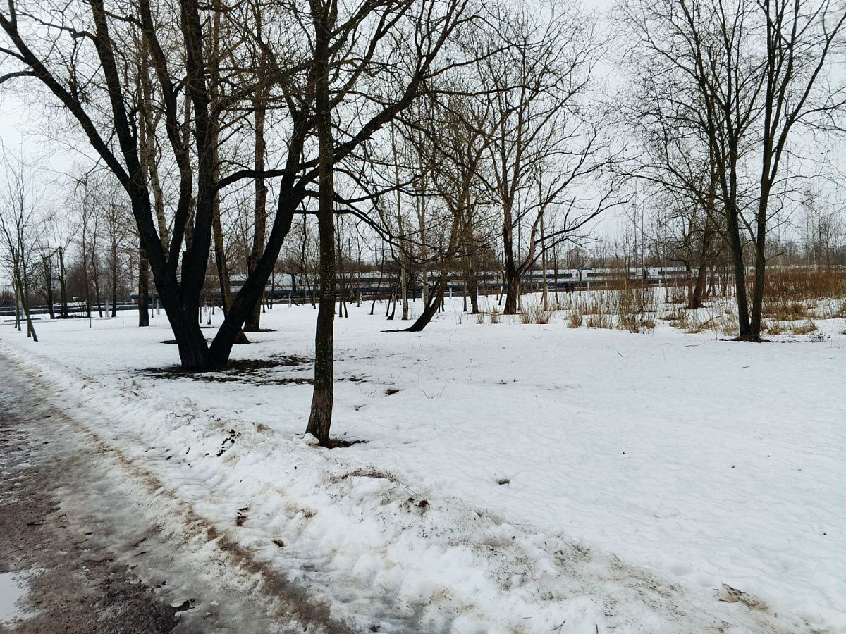 «Сапсан» отправили на испытания в Смоленск из депо Металлостроя