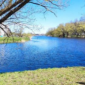 Петербургские сады и парки закрываются на просушку на 10 дней раньше обычного