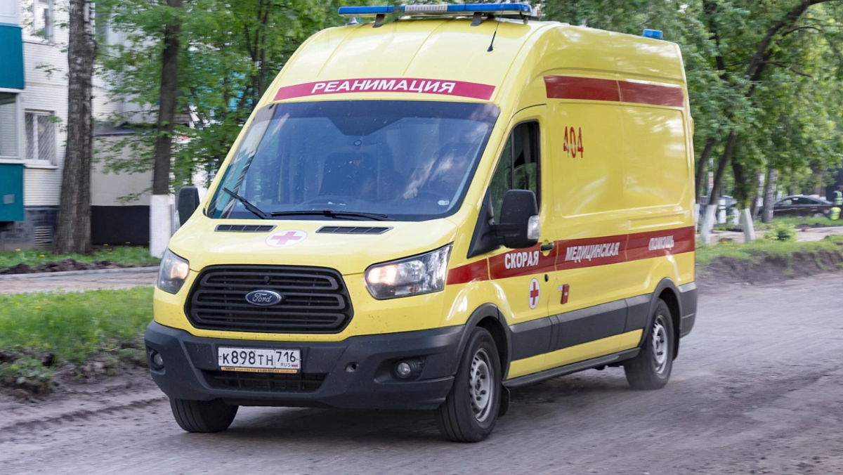 Школьник попал в реанимацию после укуса ядовитой змеи в Ленобласти